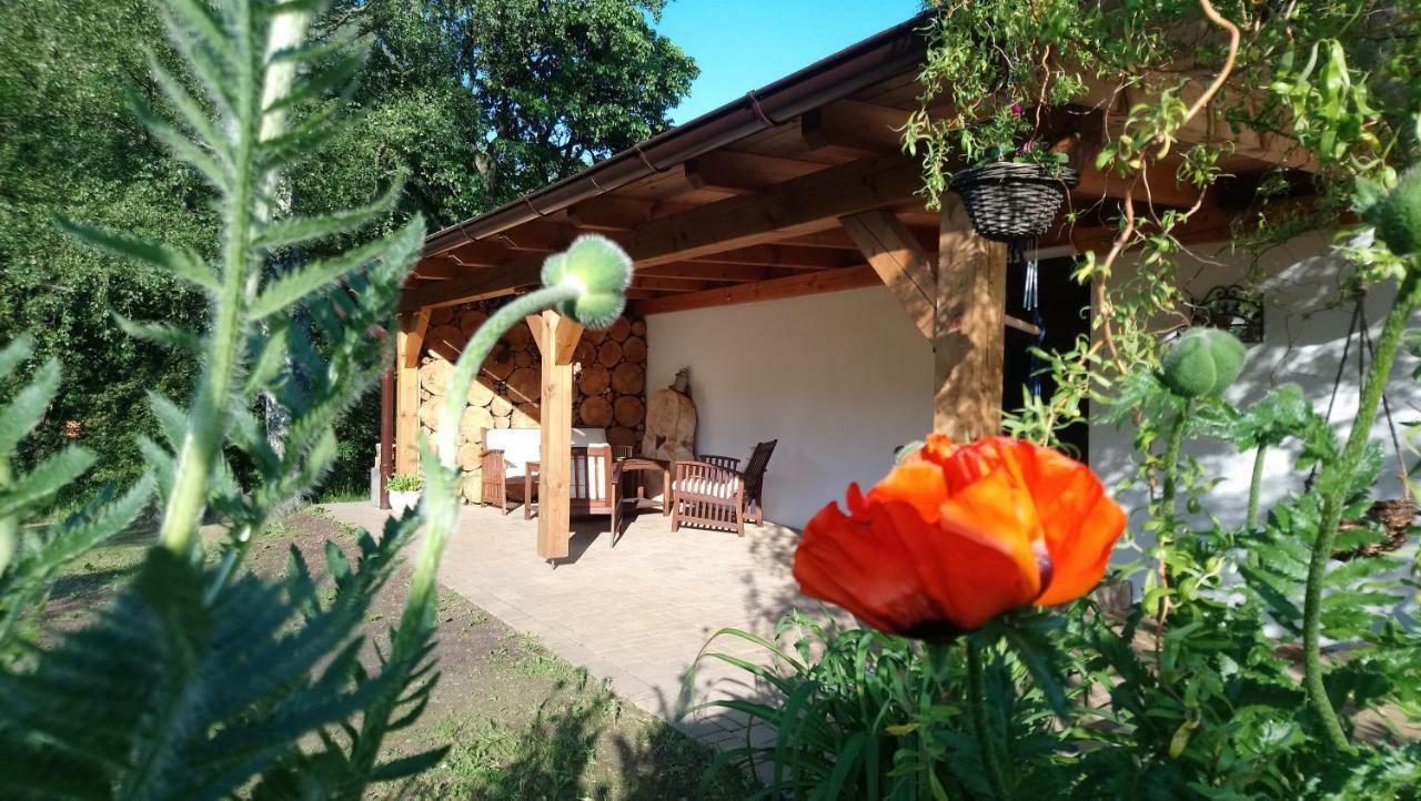 Vesin Forest Rustic Apartment Brdy מראה חיצוני תמונה